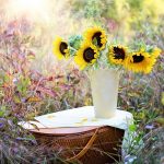 Valentine’s Day Flowers Convey Love, But Harm The Environment?
