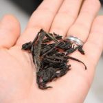 茶作用與功效，茶的選購留意什麽